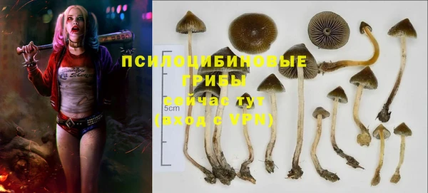 соль курить ск Бронницы
