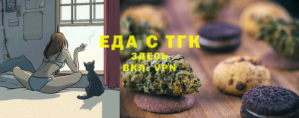 ешки Бородино