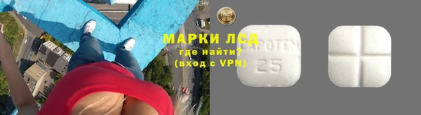 прущие грибы Белокуриха
