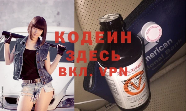 ешки Бородино