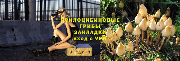 СК Верхний Тагил