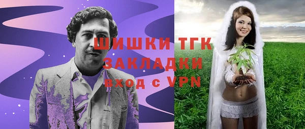 ешки Бородино