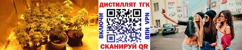 Дистиллят ТГК THC oil  Кимры 
